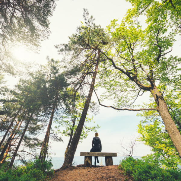 Person sat on a bench in the forest, with the sun shining