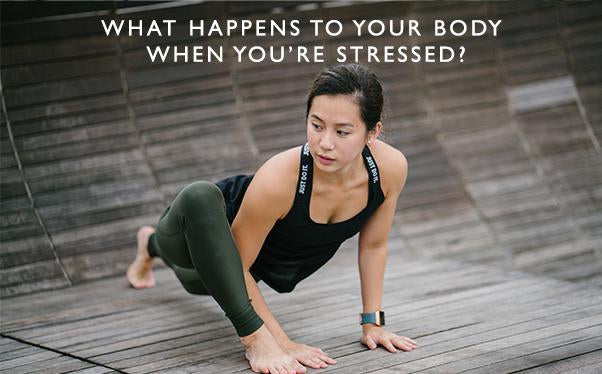 What happens to your body when you’re stressed?-Scentered