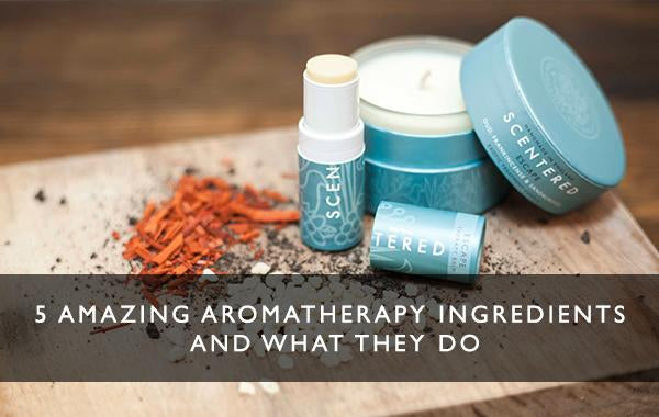 5 amazing aromatherapy ingredients and what they do-Scentered