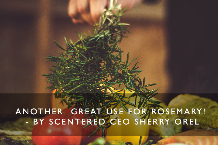 Another  great use for rosemary! - BY SCENTERED CEO SHERRY OREL