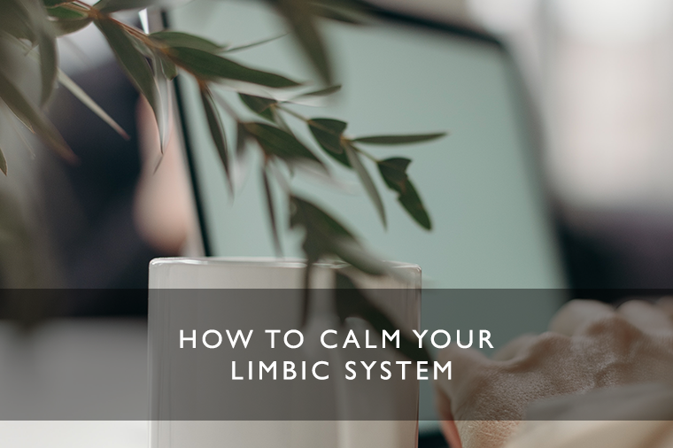 How do you calm your limbic system?